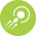 Embryo