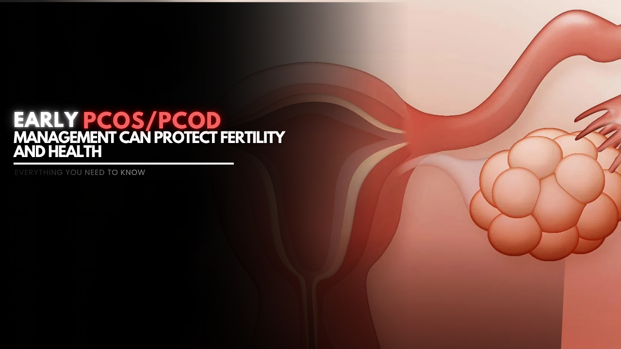 Early PCOS Management Can Protect Fertility and Health | Best Gynaecologist In udaipur